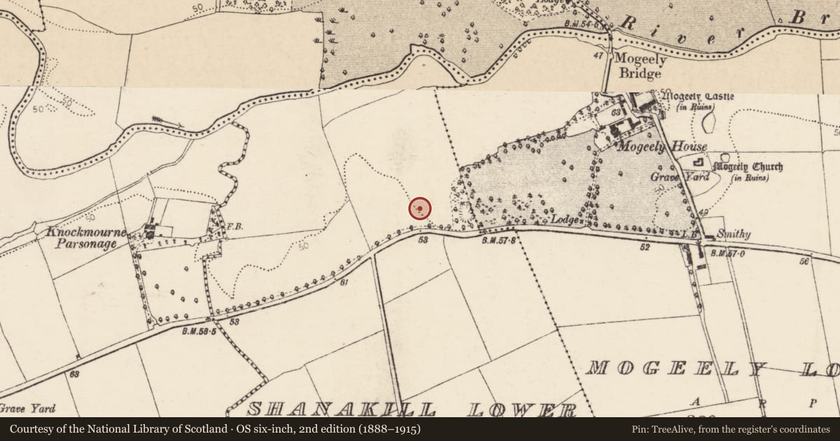 Ordnance Survey six-inch map, 2nd edition (1888–1915) covering the location of Enclosure, Shanakill Lower, County Cork, with a pin at the register's coordinates