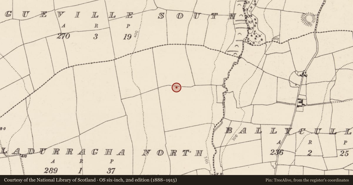Ordnance Survey six-inch map, 2nd edition (1888–1915) covering the location of Fulacht fia, Booladurragha North, County Cork, with a pin at the register's coordinates