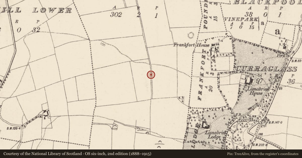 Ordnance Survey six-inch map, 2nd edition (1888–1915) covering the location of Ringfort - rath, Mogeely Lower, County Cork, with a pin at the register's coordinates