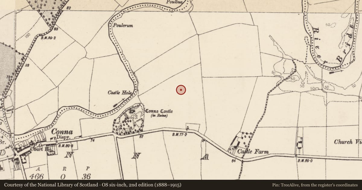 Ordnance Survey six-inch map, 2nd edition (1888–1915) covering the location of Field system, Conna, County Cork, with a pin at the register's coordinates