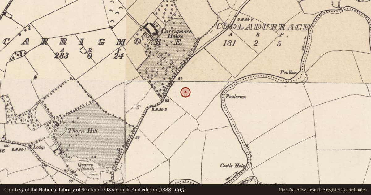 Ordnance Survey six-inch map, 2nd edition (1888–1915) covering the location of Field system, Cooladurragh, County Cork, with a pin at the register's coordinates