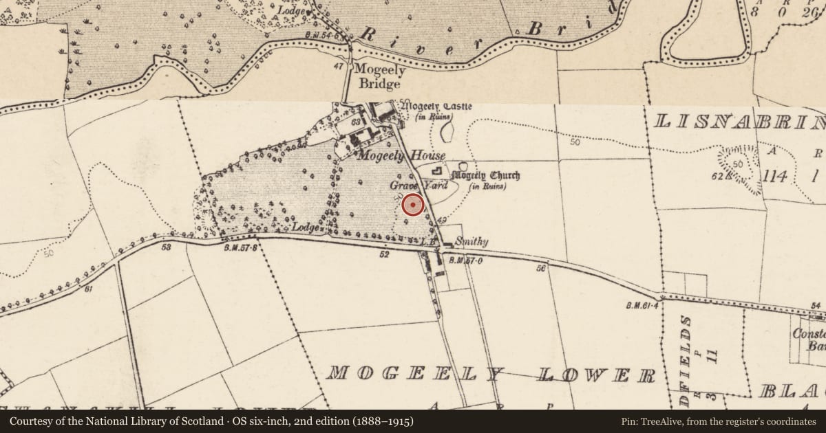 Ordnance Survey six-inch map, 2nd edition (1888–1915) covering the location of Settlement deserted - medieval, Mogeely Lower, County Cork, with a pin at the register's coordinates