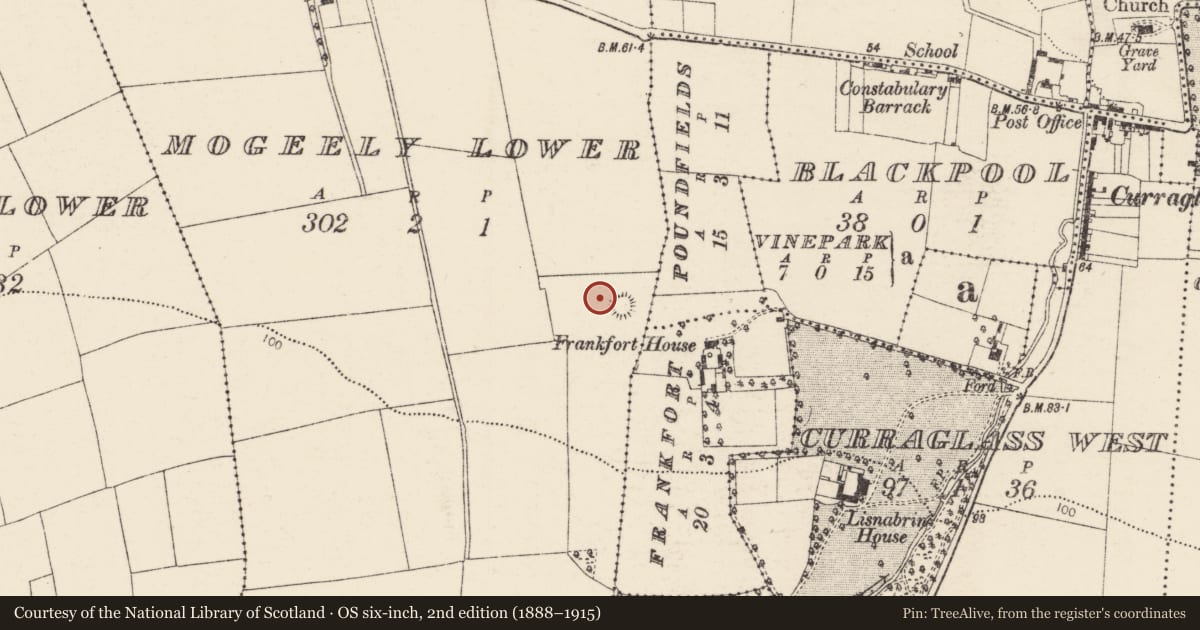 Ordnance Survey six-inch map, 2nd edition (1888–1915) covering the location of Ringfort - rath, Mogeely Lower, County Cork, with a pin at the register's coordinates