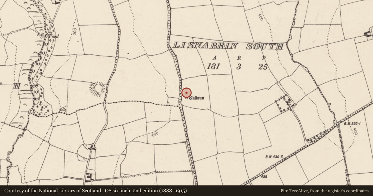 Ordnance Survey six-inch map, 2nd edition (1888–1915) covering the location of Standing stone, Lisnabrin South, County Cork, with a pin at the register's coordinates
