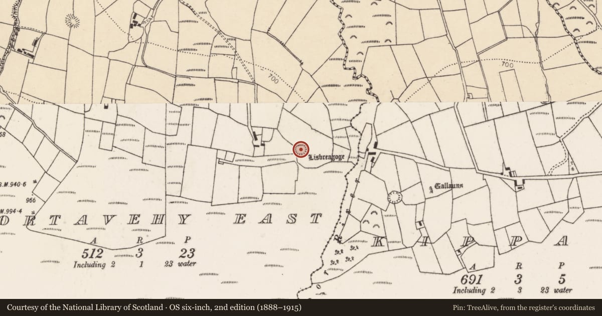 Ordnance Survey six-inch map, 2nd edition (1888–1915) covering the location of Ringfort - rath, Gortavehy East, County Cork, with a pin at the register's coordinates