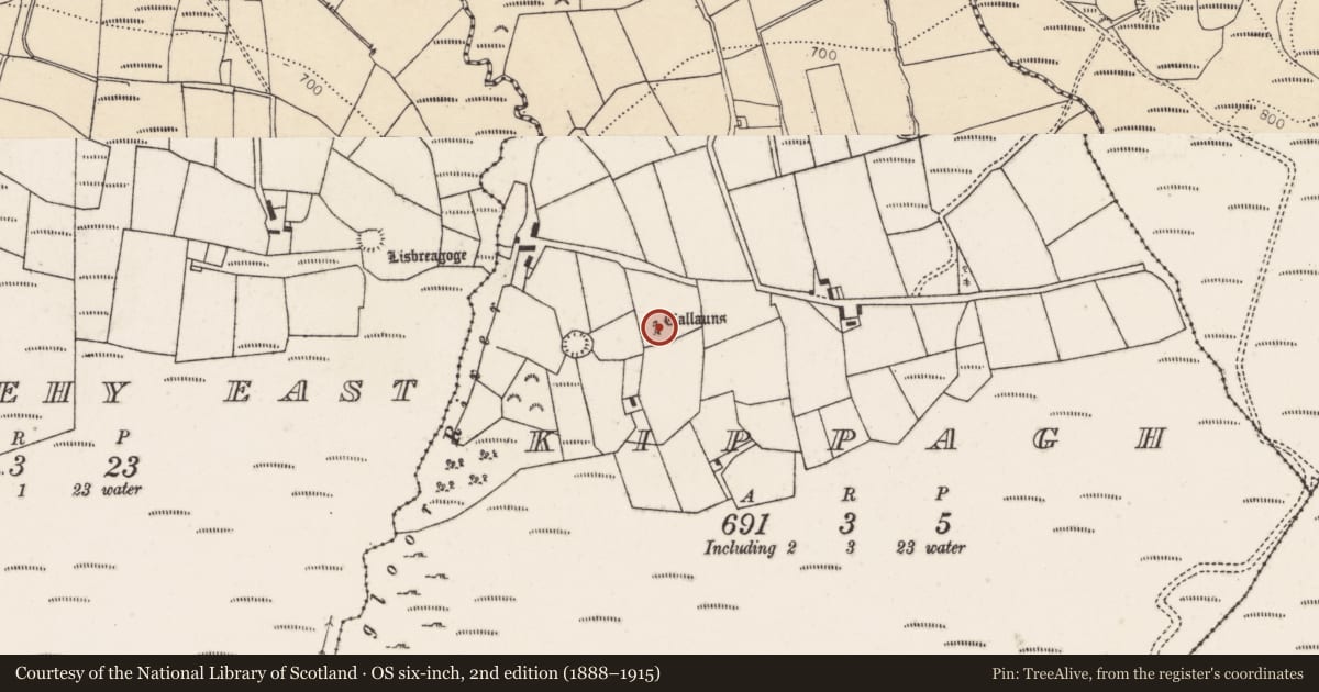 Ordnance Survey six-inch map, 2nd edition (1888–1915) covering the location of Stone row, Kippagh, County Cork, with a pin at the register's coordinates