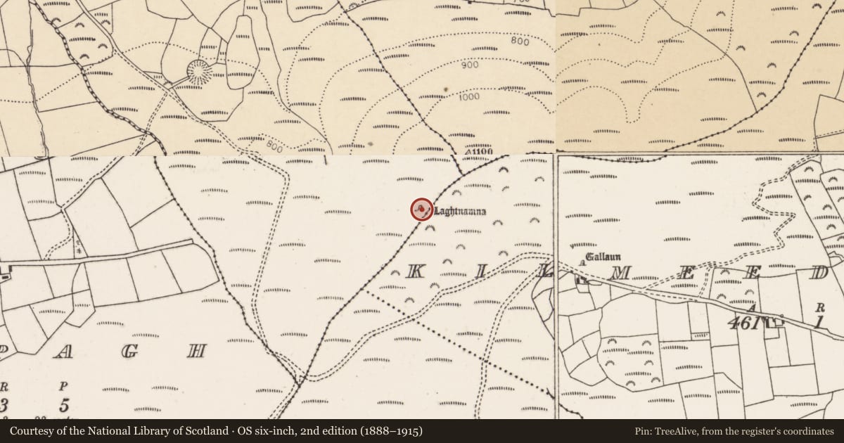 Ordnance Survey six-inch map, 2nd edition (1888–1915) covering the location of Cairn - unclassified, Ballydaly, County Cork, with a pin at the register's coordinates