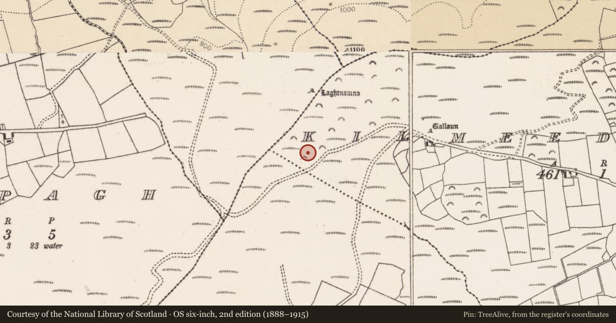 Ordnance Survey six-inch map, 2nd edition (1888–1915) covering the location of Stone circle - five-stone, Kilmeedy West, County Cork, with a pin at the register's coordinates