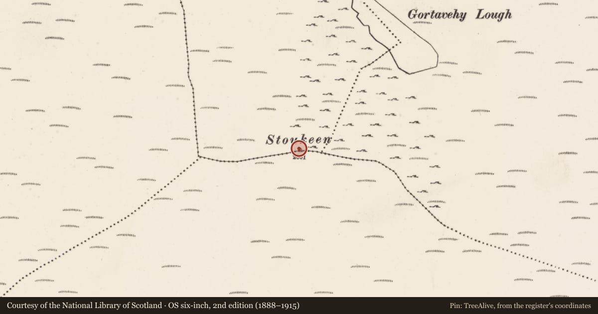 Ordnance Survey six-inch map, 2nd edition (1888–1915) covering the location of Cairn - unclassified, Coomacheo, Toorboney, County Cork, with a pin at the register's coordinates