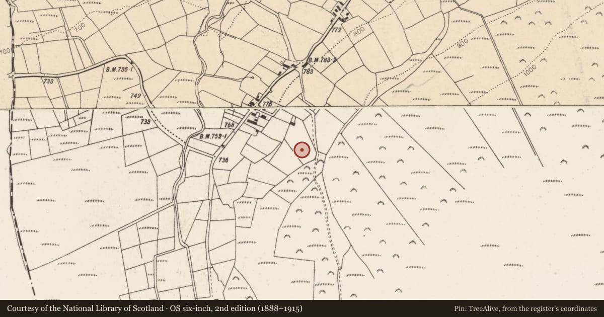Ordnance Survey six-inch map, 2nd edition (1888–1915) covering the location of Souterrain, Caherbarnagh, County Cork, with a pin at the register's coordinates