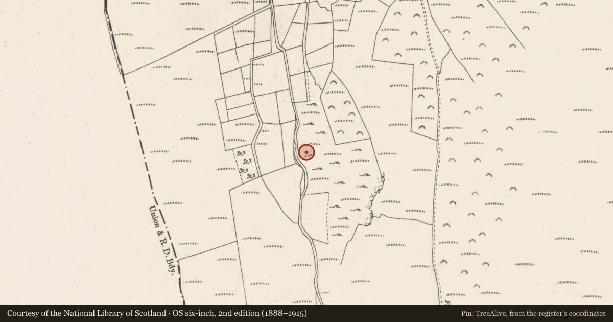 Ordnance Survey six-inch map, 2nd edition (1888–1915) covering the location of Fulacht fia, Caherbarnagh, County Cork, with a pin at the register's coordinates