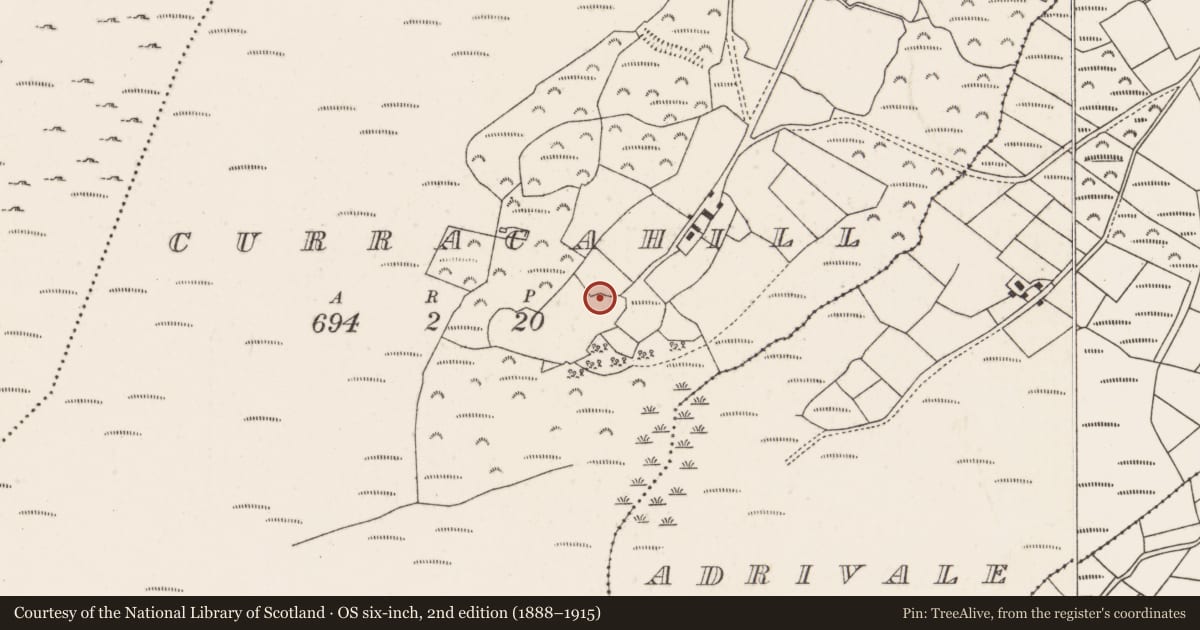 Ordnance Survey six-inch map, 2nd edition (1888–1915) covering the location of Fulacht fia, Curracahill, County Cork, with a pin at the register's coordinates