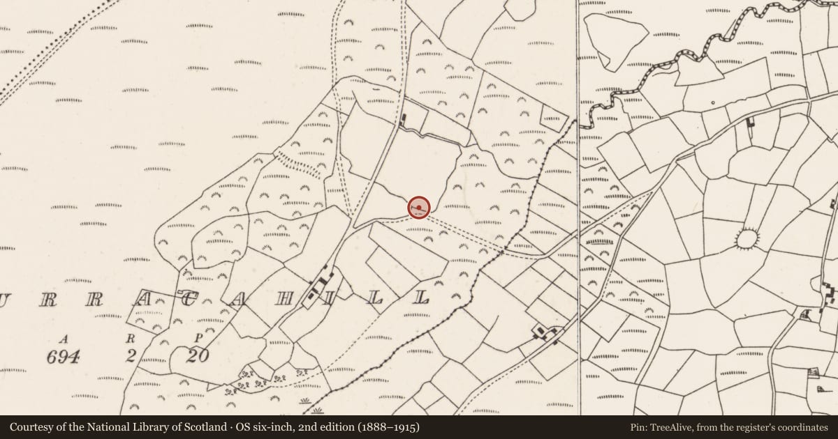 Ordnance Survey six-inch map, 2nd edition (1888–1915) covering the location of Fulacht fia, Curracahill, County Cork, with a pin at the register's coordinates