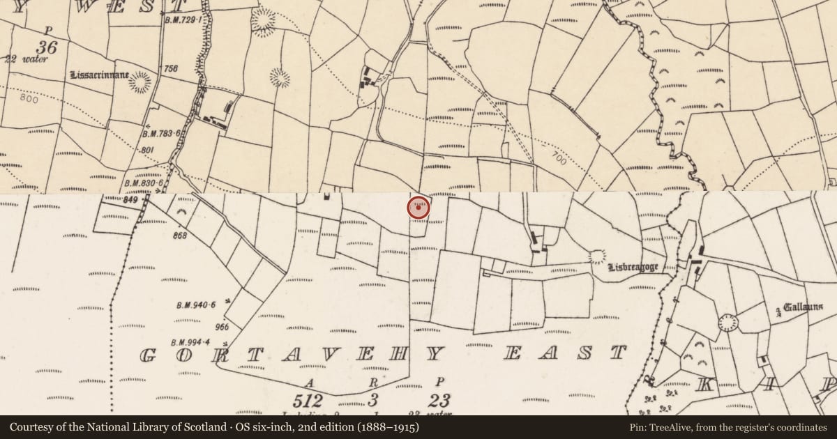 Ordnance Survey six-inch map, 2nd edition (1888–1915) covering the location of Fulacht fia, Gortavehy East, County Cork, with a pin at the register's coordinates