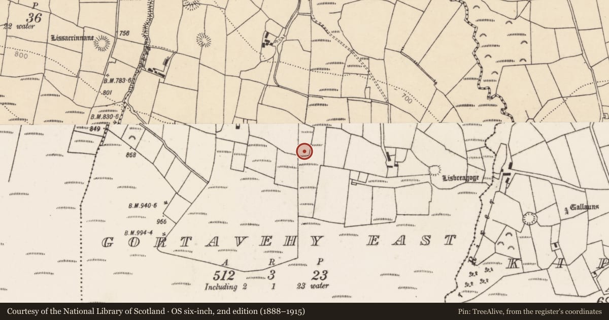 Ordnance Survey six-inch map, 2nd edition (1888–1915) covering the location of Fulacht fia, Gortavehy East, County Cork, with a pin at the register's coordinates