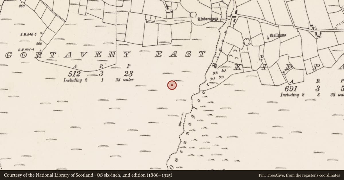 Ordnance Survey six-inch map, 2nd edition (1888–1915) covering the location of Fulacht fia, Gortavehy East, County Cork, with a pin at the register's coordinates