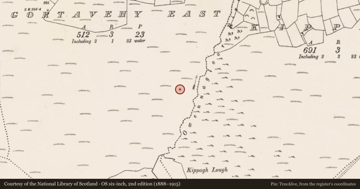 Ordnance Survey six-inch map, 2nd edition (1888–1915) covering the location of Fulacht fia, Gortavehy East, County Cork, with a pin at the register's coordinates