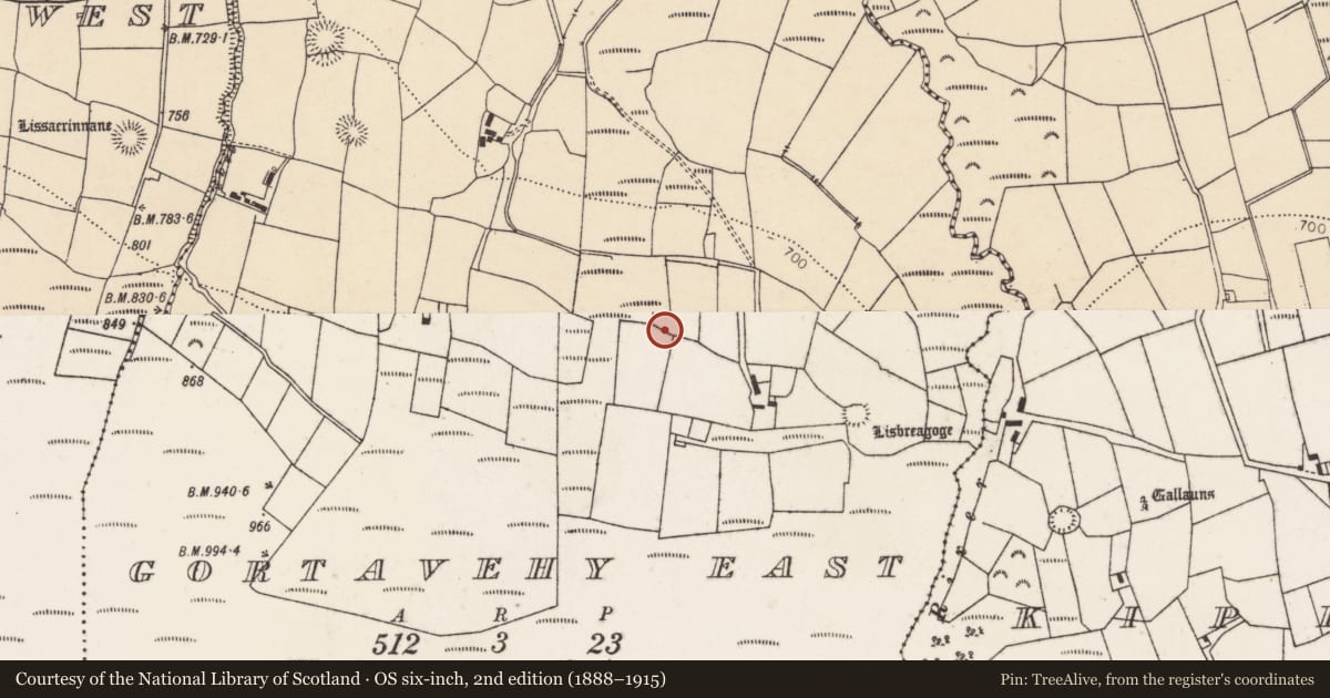 Ordnance Survey six-inch map, 2nd edition (1888–1915) covering the location of Urn burial, Gortavehy East, County Cork, with a pin at the register's coordinates