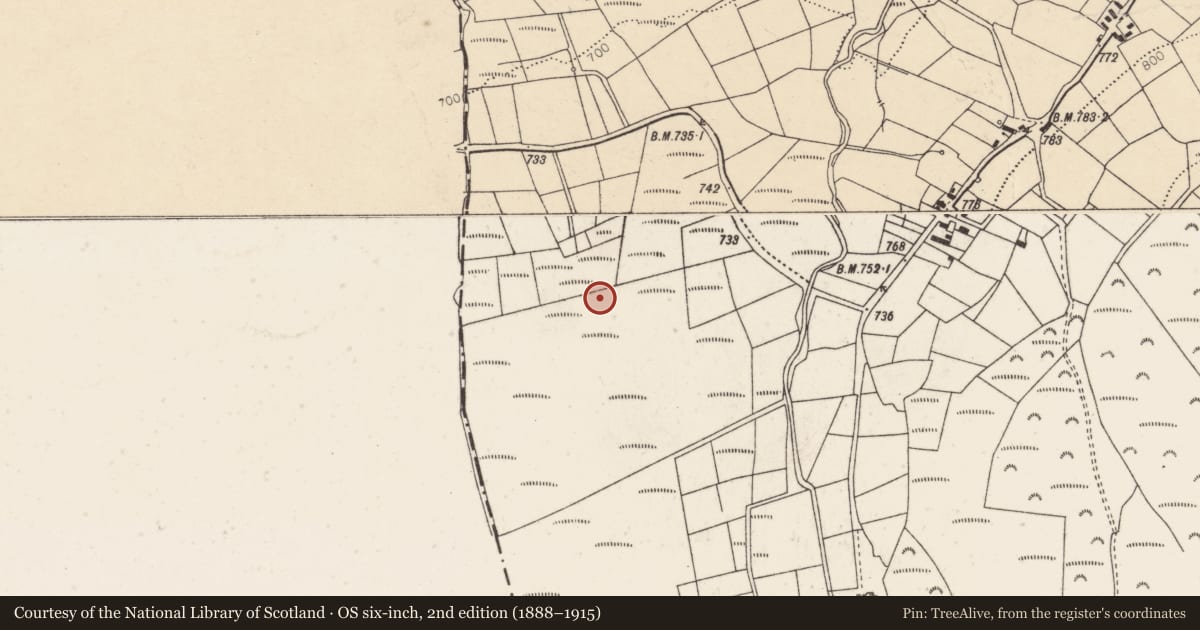 Ordnance Survey six-inch map, 2nd edition (1888–1915) covering the location of Field boundary, Caherbarnagh, County Cork, with a pin at the register's coordinates