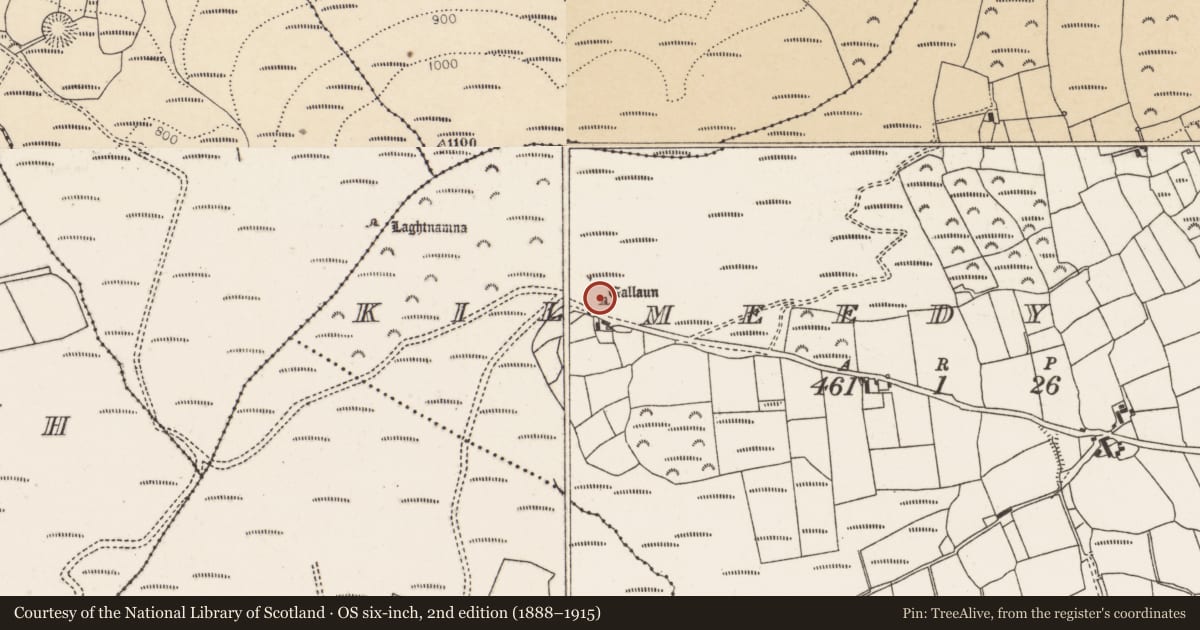 Ordnance Survey six-inch map, 2nd edition (1888–1915) covering the location of Standing stone, Kilmeedy West, County Cork, with a pin at the register's coordinates