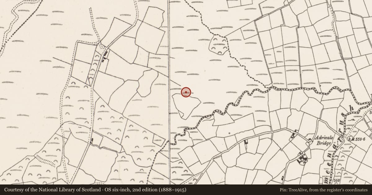 Ordnance Survey six-inch map, 2nd edition (1888–1915) covering the location of Fulacht fia, Curracahill, County Cork, with a pin at the register's coordinates