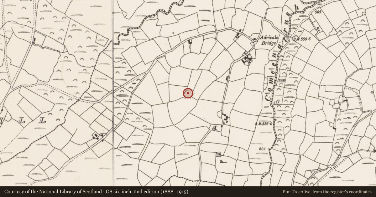 Ordnance Survey six-inch map, 2nd edition (1888–1915) covering the location of Ringfort - rath, Adrivale, County Cork, with a pin at the register's coordinates