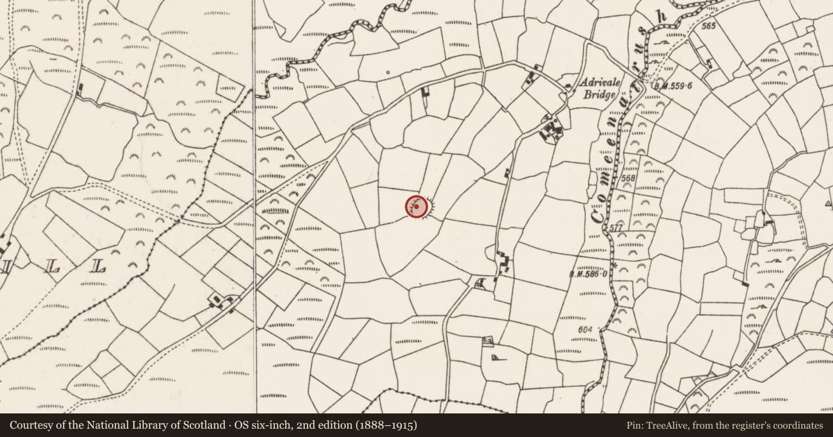 Ordnance Survey six-inch map, 2nd edition (1888–1915) covering the location of Souterrain, Adrivale, County Cork, with a pin at the register's coordinates