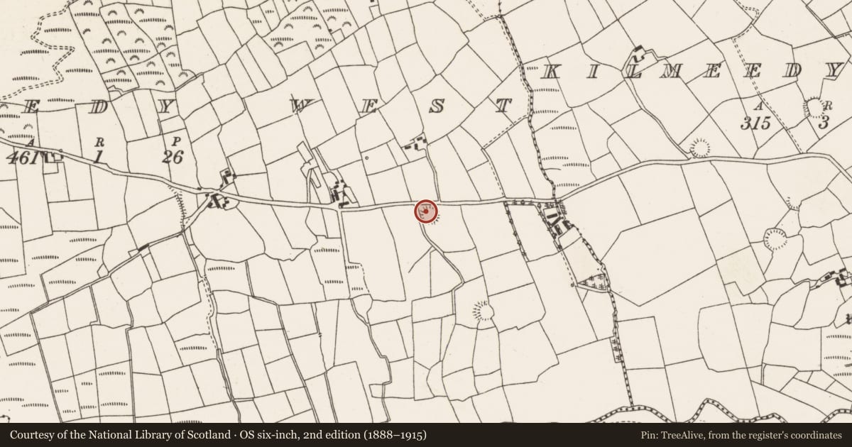 Ordnance Survey six-inch map, 2nd edition (1888–1915) covering the location of Ringfort - rath, Kilmeedy West, County Cork, with a pin at the register's coordinates