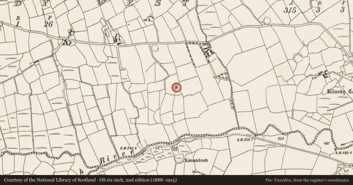 Ordnance Survey six-inch map, 2nd edition (1888–1915) covering the location of Ringfort - rath, Kilmeedy West, County Cork, with a pin at the register's coordinates