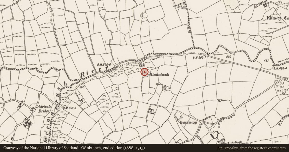 Ordnance Survey six-inch map, 2nd edition (1888–1915) covering the location of Souterrain, Curragh (Muskerry West By., Drishane Par.), County Cork, with a pin at the register's coordinates