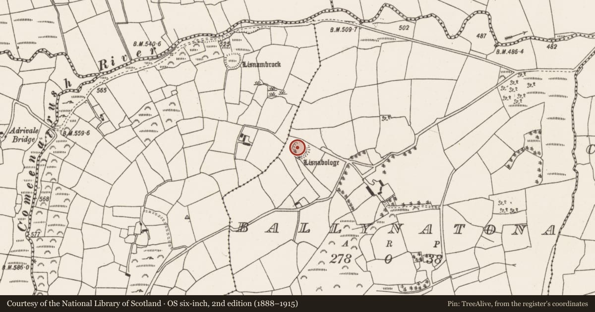 Ordnance Survey six-inch map, 2nd edition (1888–1915) covering the location of Ringfort - rath, Ballynatona, County Cork, with a pin at the register's coordinates