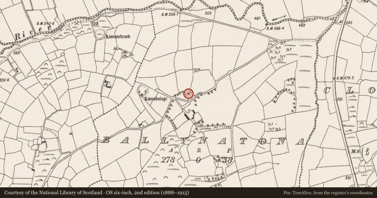 Ordnance Survey six-inch map, 2nd edition (1888–1915) covering the location of Souterrain, Ballynatona, County Cork, with a pin at the register's coordinates