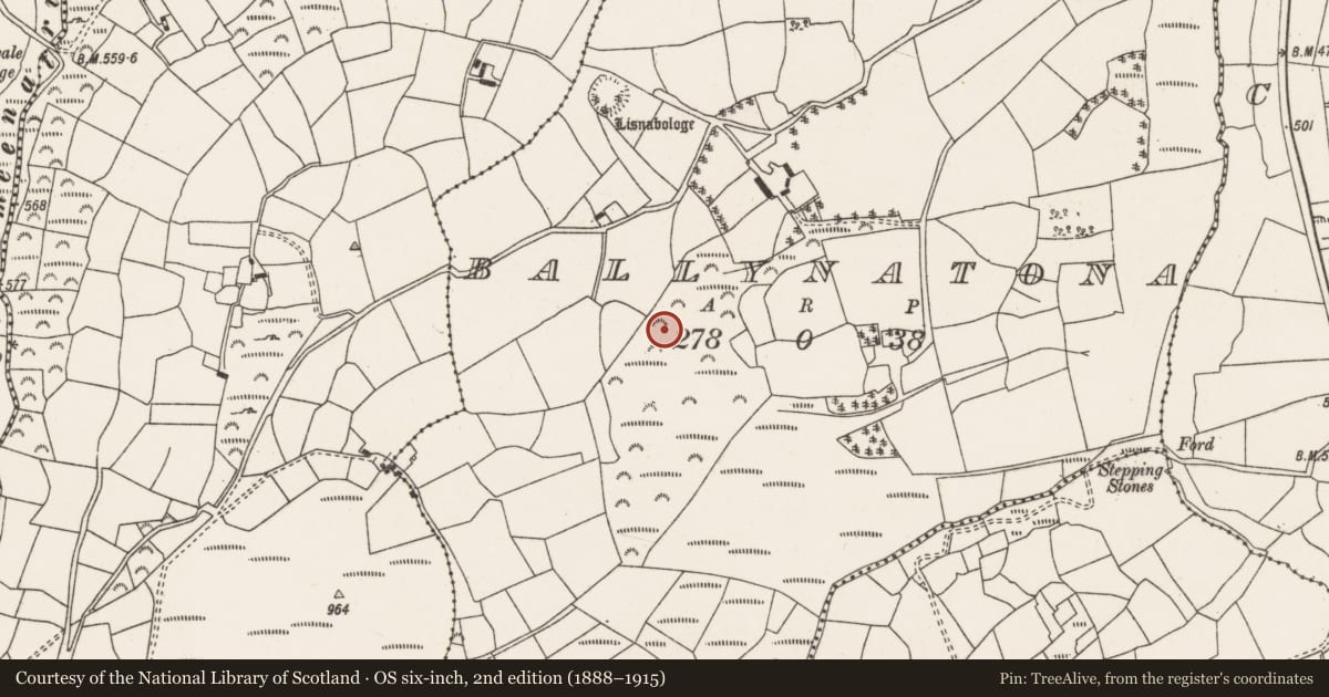 Ordnance Survey six-inch map, 2nd edition (1888–1915) covering the location of Fulacht fia, Ballynatona, County Cork, with a pin at the register's coordinates