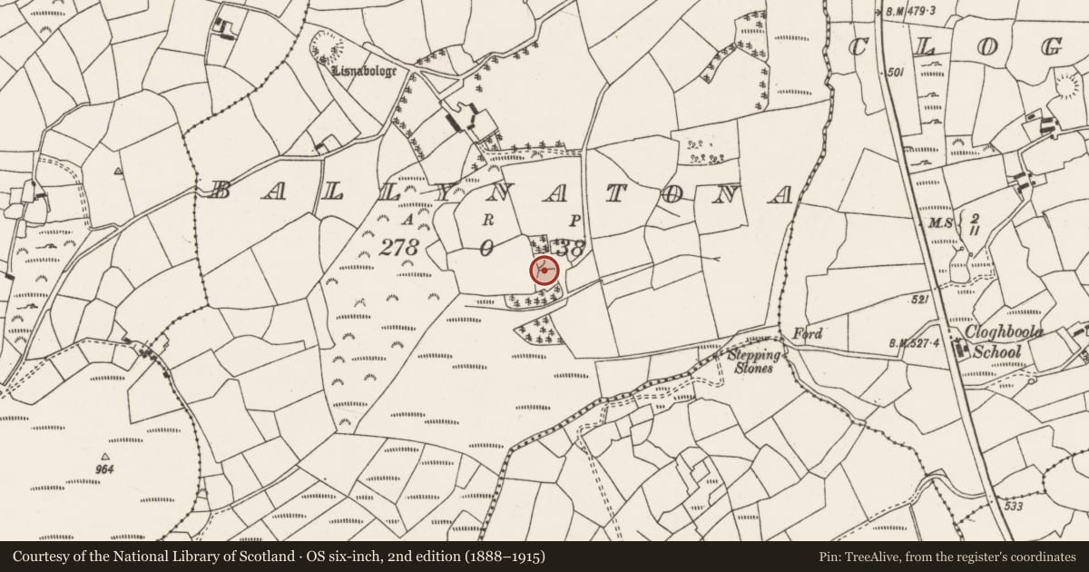 Ordnance Survey six-inch map, 2nd edition (1888–1915) covering the location of Ringfort - rath, Ballynatona, County Cork, with a pin at the register's coordinates