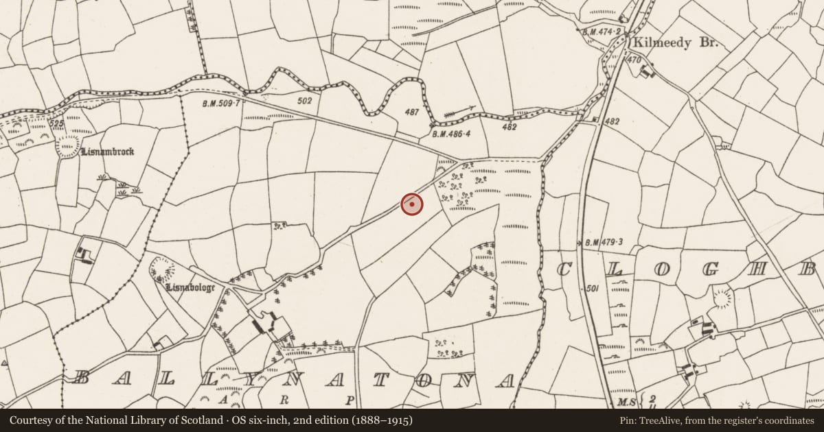 Ordnance Survey six-inch map, 2nd edition (1888–1915) covering the location of Fulacht fia, Ballynatona, County Cork, with a pin at the register's coordinates