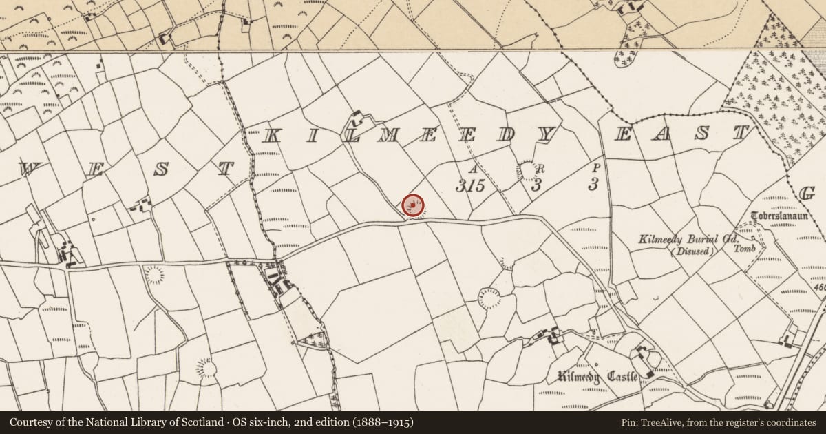 Ordnance Survey six-inch map, 2nd edition (1888–1915) covering the location of Ringfort - rath, Kilmeedy East, County Cork, with a pin at the register's coordinates