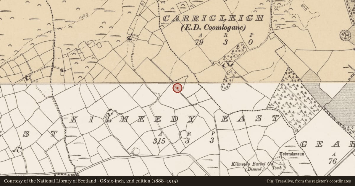 Ordnance Survey six-inch map, 2nd edition (1888–1915) covering the location of Fulacht fia, Kilmeedy East, County Cork, with a pin at the register's coordinates