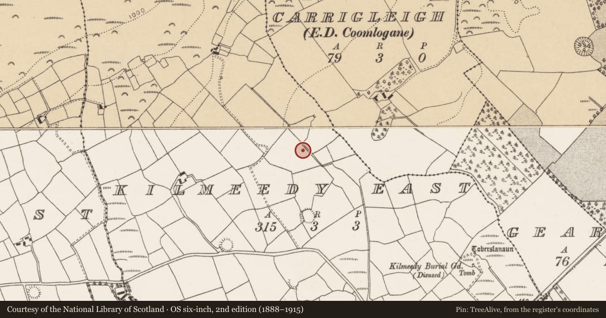 Ordnance Survey six-inch map, 2nd edition (1888–1915) covering the location of Fulacht fia, Kilmeedy East, County Cork, with a pin at the register's coordinates