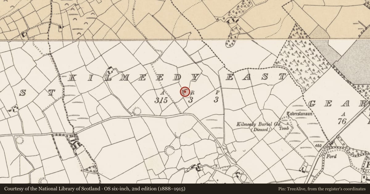 Ordnance Survey six-inch map, 2nd edition (1888–1915) covering the location of Ringfort - rath, Kilmeedy East, County Cork, with a pin at the register's coordinates