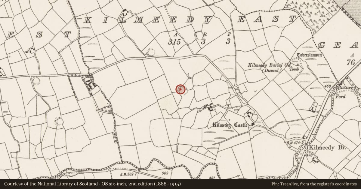Ordnance Survey six-inch map, 2nd edition (1888–1915) covering the location of Souterrain, Kilmeedy East, County Cork, with a pin at the register's coordinates