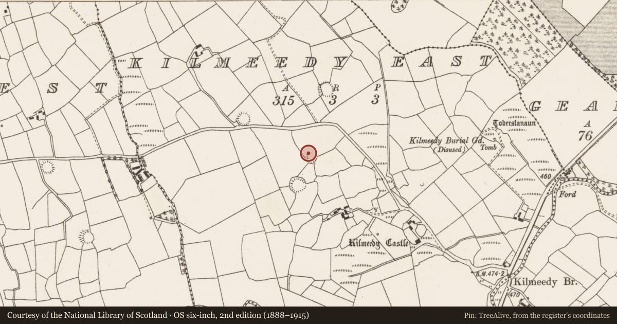 Ordnance Survey six-inch map, 2nd edition (1888–1915) covering the location of Ringfort - rath, Kilmeedy East, County Cork, with a pin at the register's coordinates