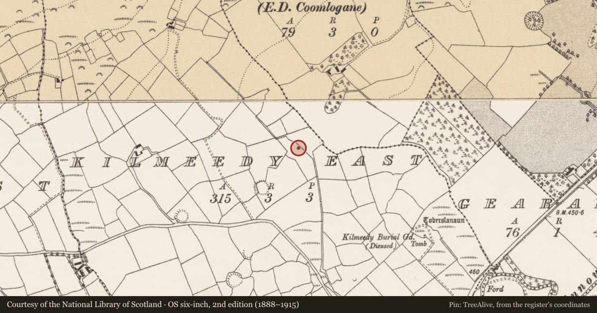 Ordnance Survey six-inch map, 2nd edition (1888–1915) covering the location of Fulacht fia, Kilmeedy East, County Cork, with a pin at the register's coordinates