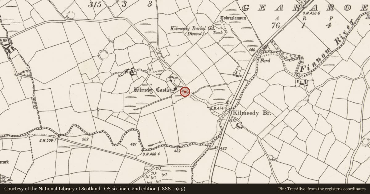 Ordnance Survey six-inch map, 2nd edition (1888–1915) covering the location of Fulacht fia, Kilmeedy East, County Cork, with a pin at the register's coordinates