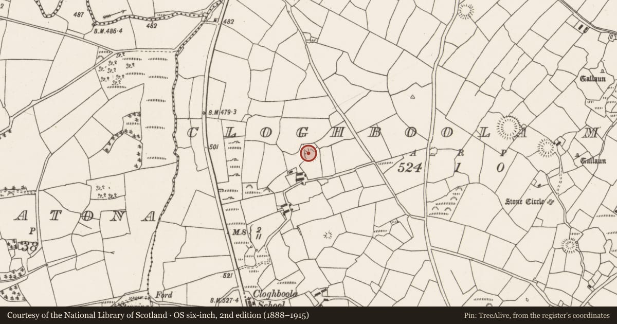 Ordnance Survey six-inch map, 2nd edition (1888–1915) covering the location of Ringfort - rath, Cloghboola More, County Cork, with a pin at the register's coordinates
