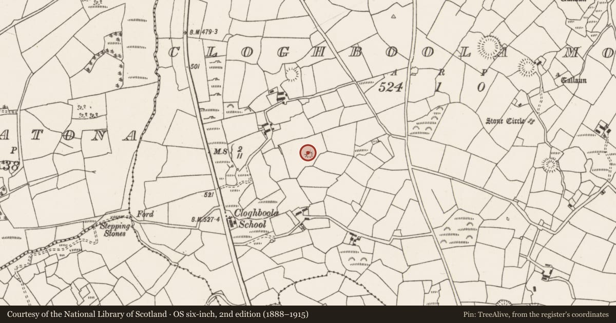 Ordnance Survey six-inch map, 2nd edition (1888–1915) covering the location of Ringfort - rath, Cloghboola More, County Cork, with a pin at the register's coordinates