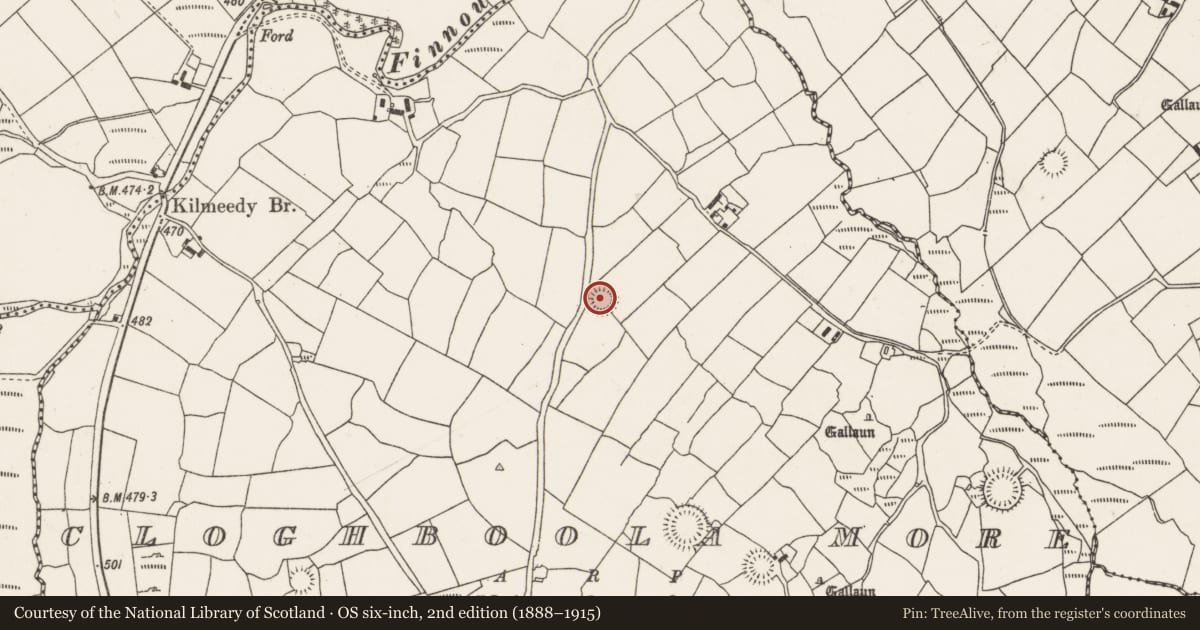 Ordnance Survey six-inch map, 2nd edition (1888–1915) covering the location of Ringfort - rath, Cloghboola More, County Cork, with a pin at the register's coordinates