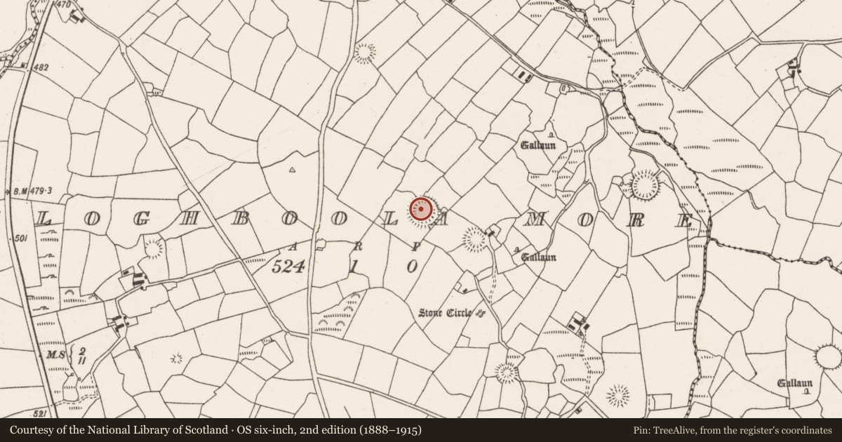 Ordnance Survey six-inch map, 2nd edition (1888–1915) covering the location of Souterrain, Cloghboola More, County Cork, with a pin at the register's coordinates