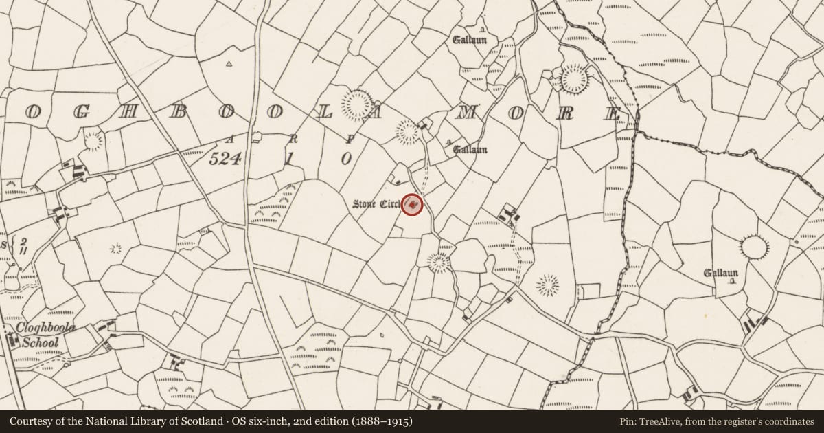 Ordnance Survey six-inch map, 2nd edition (1888–1915) covering the location of Stone circle - five-stone, Cloghboola More, County Cork, with a pin at the register's coordinates