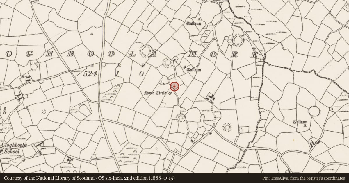 Ordnance Survey six-inch map, 2nd edition (1888–1915) covering the location of Standing stone, Cloghboola More, County Cork, with a pin at the register's coordinates