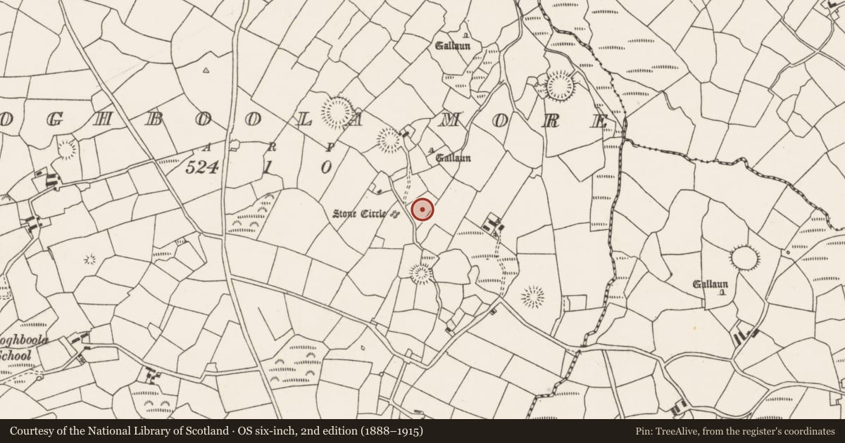 Ordnance Survey six-inch map, 2nd edition (1888–1915) covering the location of Ringfort - rath, Cloghboola More, County Cork, with a pin at the register's coordinates